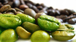 For Rapid Results, Try Green Coffee Bean for Weight Loss