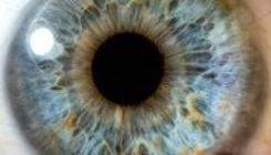 The basics of iridology training